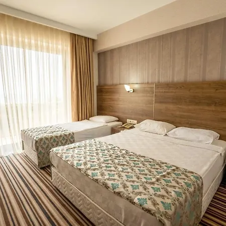 Ergin 2* Sarimsakli