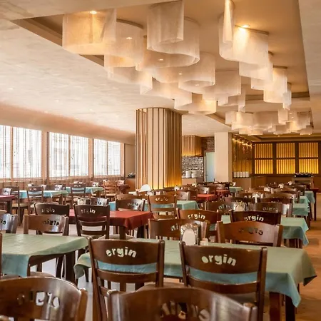Ergin Hotel 2*